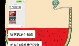吃瓜文献免费发送,从娱乐现象到社会现象的演变