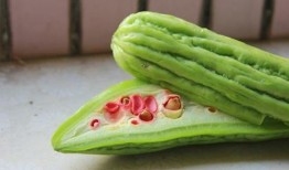 吃瓜系统免费吃瓜,免费畅享瓜界盛宴