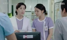 法国护士在线观看,揭秘护理工作日常与职业挑战