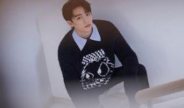 周翊然导演爆料视频,独家爆料视频背后的故事