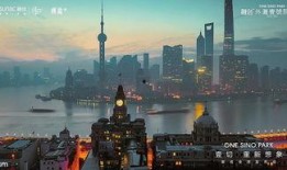 外滩壹号经理爆料视频,独家爆料视频背后的惊人内幕