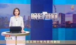 新加坡新闻频道爆料视频,独家视频曝光事件真相