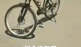安阳自行车爆料视频曝光,揭秘城市交通新现象