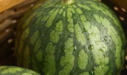 焕儿免费吃瓜图片高清,焕儿高清吃瓜图鉴