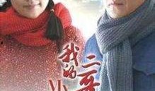 电视剧二嫂在线观看,揭秘现代家庭情感纠葛