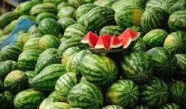 黑科吃瓜爆料最新进展,真相大白，幕后黑手浮出水面！”