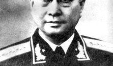 陈赓大将在线观看,英勇无畏，战火中的钢铁战士