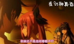 伦理动漫大在线观看,在线观看背后的道德探讨