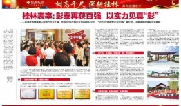 桂林晚报新闻爆料,揭秘桂林某神秘事件真相
