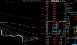 股票内幕爆料视频,股票市场背后的惊人爆料