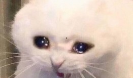 网红吃瓜表情包,趣味横生的网络文化现象