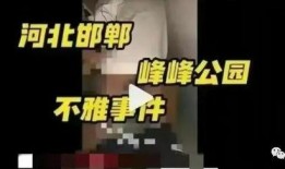 酒界学生爆料视频,揭秘校园酒文化背后的真相