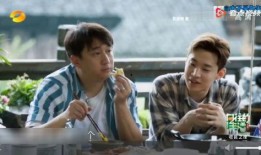 娱乐大爆料刘宪华,揭秘明星幕后故事