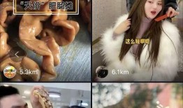 被爆料的网红视频大全,热门内容背后的秘密与争议