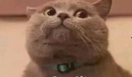 网红吃瓜表情包,趣味横生的网络文化现象