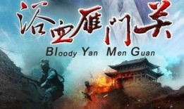 浴血雁门关在线观看,再现古代战场英雄壮丽史诗
