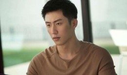 窦骁女友爆料事件视频播放,真相与谣言的交织