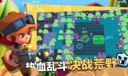 最新爆料荒野乱斗,神秘新角色与全新游戏模式即将上线！