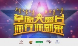 大舞台电台爆料视频播放,视频播放背后的精彩故事