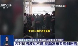 瑞辉高管爆料视频造假,揭秘真相背后的惊人内幕