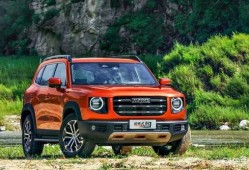 大狗哈弗爆料视频播放下载,独家下载解析