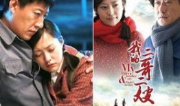 电视剧二嫂在线观看,揭秘现代家庭情感纠葛