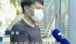 网红吃瓜的观众主要群体是谁,年轻观众群体的狂欢盛宴