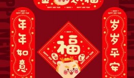 龙年套装最全爆料视频,龙年套装全解析，带你领略新春风采