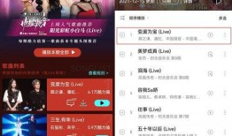 潮音战绩在线观看,在线观看，揭秘音乐偶像的辉煌历程