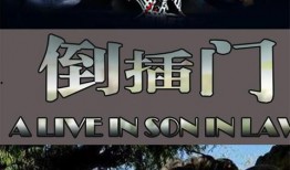 新上门女婿全集在线观看影片