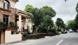 深圳龙山庄最新爆料事件,神秘事件真相揭晓