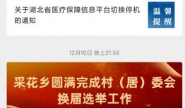 各地爆料视频一分钟以内,一分钟内捕捉社会热点瞬间