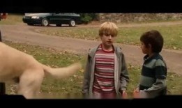 马利与我在线观看,一场温馨的宠物成长之旅