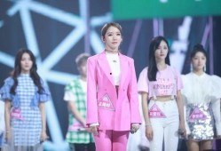 娱乐圈爆料文案怎么写,揭秘明星背后的秘密与真相