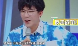 抖音爆料刘宇宁事件视频,真相与争议