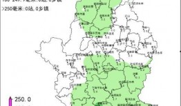 桂平最新爆料消息视频,视频揭秘惊人内幕！