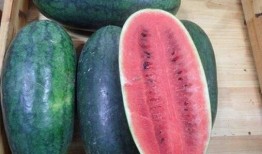 黑科吃瓜爆料最新进展,真相大白，幕后黑手浮出水面！”