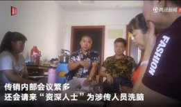 刘团长内部爆料视频大全,揭秘视频大全背后的惊人真相