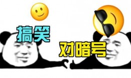 爆料笑话段子大全视频下载,揭秘视频下载背后的欢乐秘密