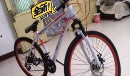 安阳自行车爆料视频曝光,揭秘城市交通新现象