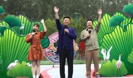 陆河娱乐爆料视频最新,揭秘明星幕后故事，最新视频内容抢先看