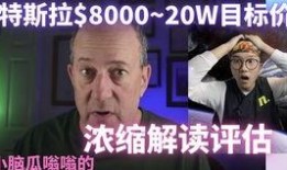马斯克惊人爆料视频,揭秘科技巨头背后的惊人真相