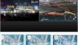 灰网全集在线观看,揭秘网络世界的隐秘角落