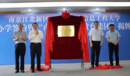 天元新品爆料最新消息,最新爆料抢先看，创新科技引领未来潮流